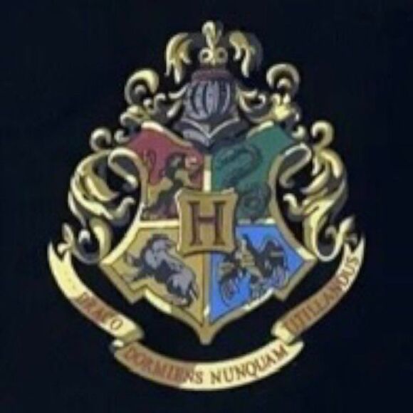 The Wizarding World of Harry Potter Hogwarts Crest Shirt Women's XL - Picture 4 of 4